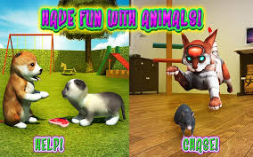 Cat Frenzy 3D Android App For PC / Cat Frenzy 3D On PC